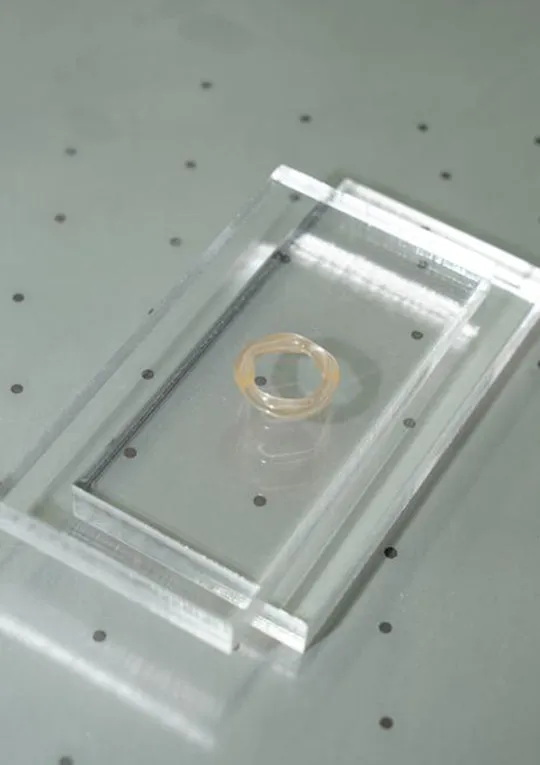 Glass Thin Organic Band Peach